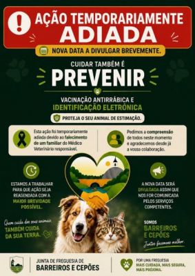 INFORMA&Ccedil;&Atilde;O &Agrave; POPULA&Ccedil;&Atilde;O