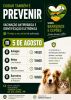 VACINA&Ccedil;&Atilde;O ANTIRR&Aacute;BICA E IDENTIFICA&Ccedil;&Atilde;O ELETR&Oacute;NICA