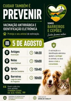 VACINA&Ccedil;&Atilde;O ANTIRR&Aacute;BICA E IDENTIFICA&Ccedil;&Atilde;O ELETR&Oacute;NICA